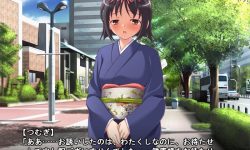 The Bridegroom Training Diary of Tsumugi-sama [Sadistic Alice] 